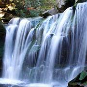 快递员招聘 - 宁波江东白鹤运输\/物流\/仓管 - 宁