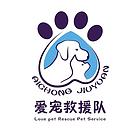 猫跑丢了怎么找 有效找猫团队是怎么找的方法