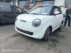 长安E-Pro 2020款 劲擎版