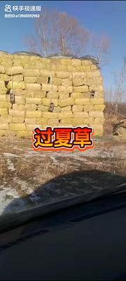 牛羊玉米秸秆柔丝小方包