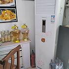 狼青大母