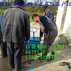 河南本地鲶鱼（俗称土塘虱）革胡鲶鱼苗