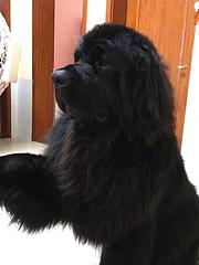 联系我时 著名百姓网