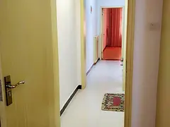 大东小区 普通住宅1厅 中等装修
