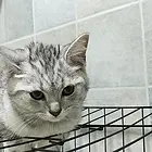 喜欢的快来