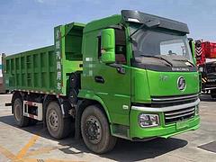 10台21年轩德【翼6】【前四后四】轻量化自卸车