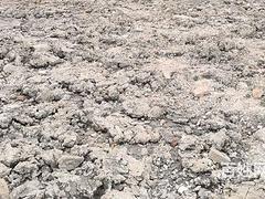 深圳市福田老汽车站土地240.24亩515.2亿