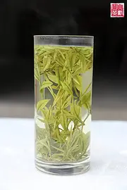 安吉白茶 明前精品茶 小戴白茶 原产地直销