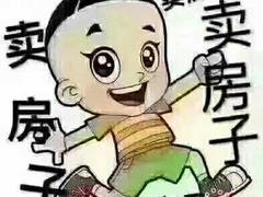 东山严河南小区楼房出卖