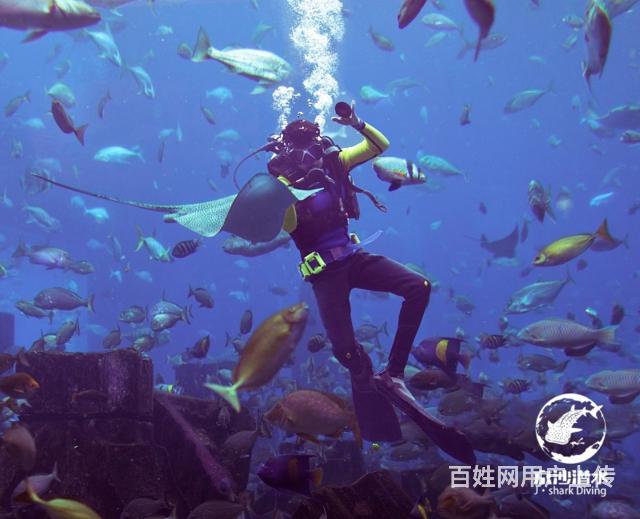 榆次海立方海洋公园门票团购 成人儿童票价 订票电话