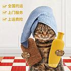 推荐） 秦皇岛到全国）宠物托运（猫狗）邮寄快递（宠物活体运输