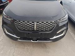 WEY VV6 2021款 2.0T 双离合 两驱智行