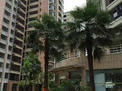 【图】- 光明安居房 - 深圳宝安光明新区新房出