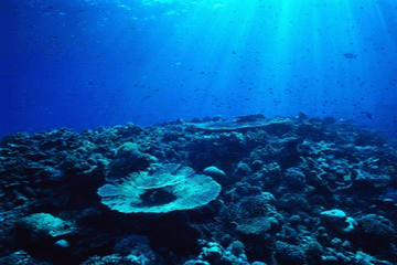 海洋沉淀物检测