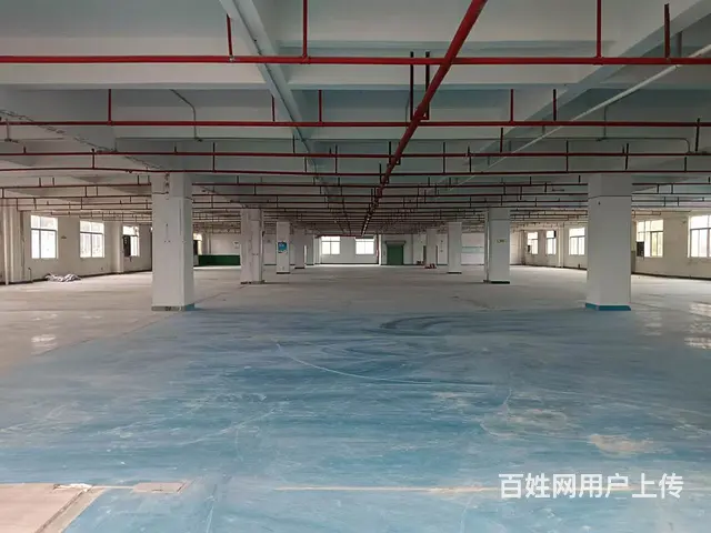 水口东江高新区全新标准厂房出租的图片