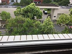 靖安县城中心三室一厅1卫两阳台一橱房住房出租