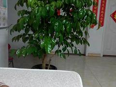 家具家店全送，拎包入住即可！