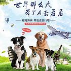 开封开封宠物托运 （猫狗活体运输）宠物快递至全国