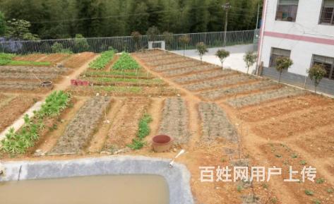 江苏叛逆孩子特殊教育学校，让孩子不在厌学的图片