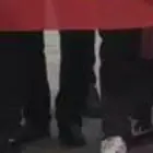 枣庄山亭专业叉车操作技能培训随到随学