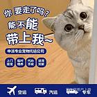 蚌埠固镇周边本地实体店宠物托运主营空调保姆专车空运