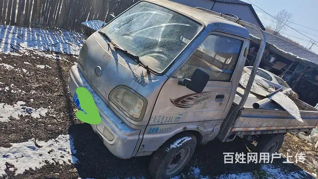 黑豹 其他的图片