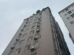 总价45.8万一套买南山蛇口精装房