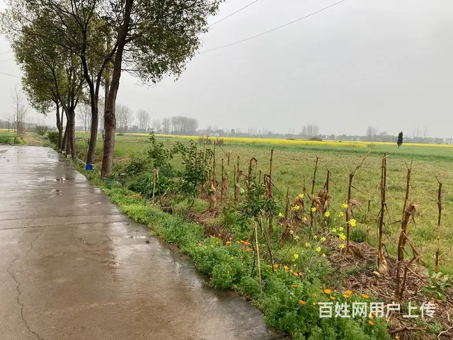 湖北宜昌枝江问安农房 平房 简单装修 带个小型养猪场的图片