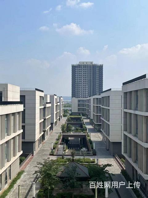 免租！免租！免租！高新区精装办公室免租金啦的图片