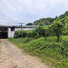 宁乡市煤炭坝独门独院厂房仓库房东优价出租