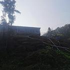 平哥养猪场