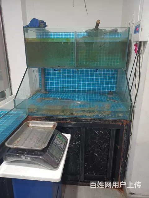 低价出售海鲜缸的图片