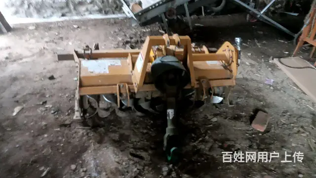 小黄牛出售的图片