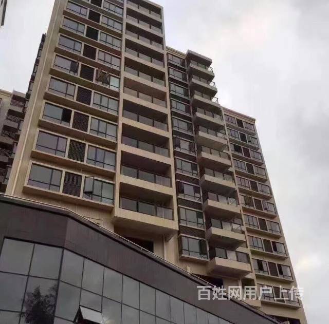 也包括没有合法报建手续的违法建筑