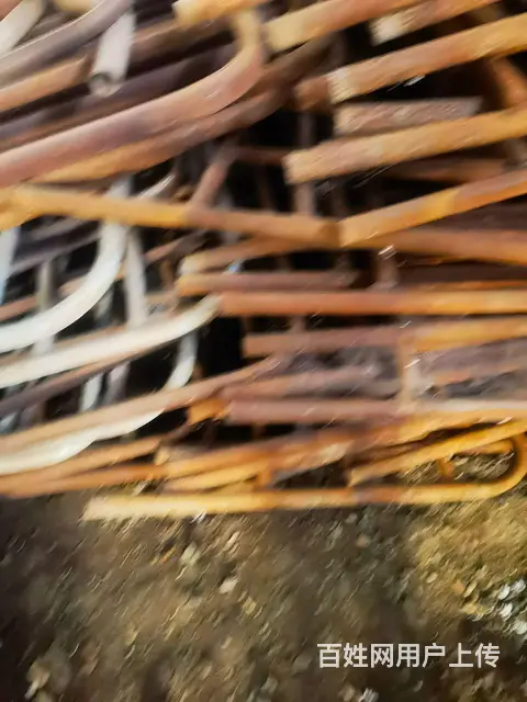 母猪单栏的图片