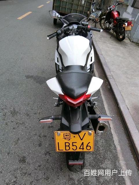 出售新货刚到2019年粤v揭阳户,白色小忍者高低 潮州潮安二手摩托车