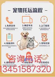 包头宠物托运 （猫狗活体运输）上门接送 邮寄到全国