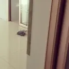 二高中旁学区房出租