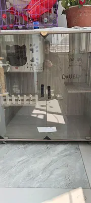 猫用的别墅木屋