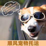 毕节织金县宠物托运（猫狗）活体运输邮寄 （2022今日推荐）