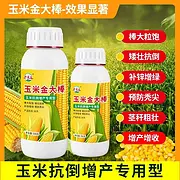 玉米金大棒