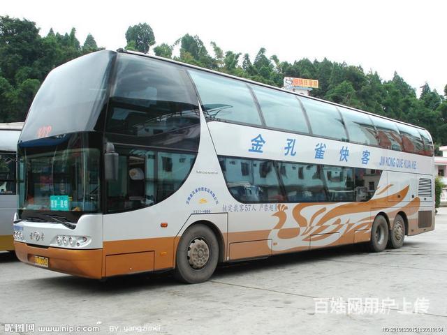 遂溪宠物托运/运输流程/价格咨询(遂溪宠物托运网）的图片