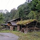 雅安芦山 一套木质农房求出租或合伙