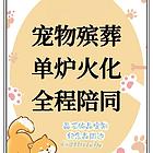 宁波十年宠物殡葬服务老店,宁波哪里有宠物殡葬公司,