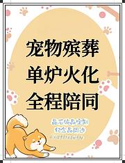 宁波十年宠物殡葬服务老店,宁波哪里有宠物殡葬公司,