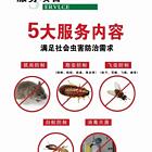 日照灭鼠公司上门抓老鼠专业捕鼠虫控防治服务