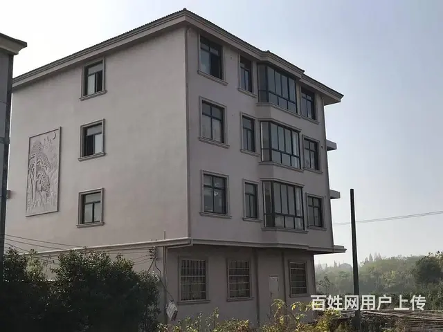 自建房出租，可做厂房的图片