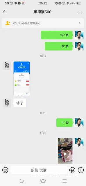吐鲁番宠物托运（猫狗活体快递邮寄） （2023今日 推荐运输的图片
