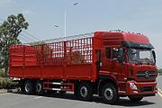 前四后六九米六仓栏车 认准大厂家
