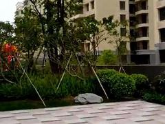 满五唯一没入住全新毛胚房
